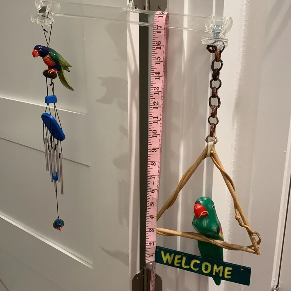Parrots 🦜 - Picture 10 of 12
